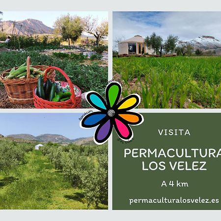Los Canos De La Casa Viva Vélez Blanco Екстериор снимка